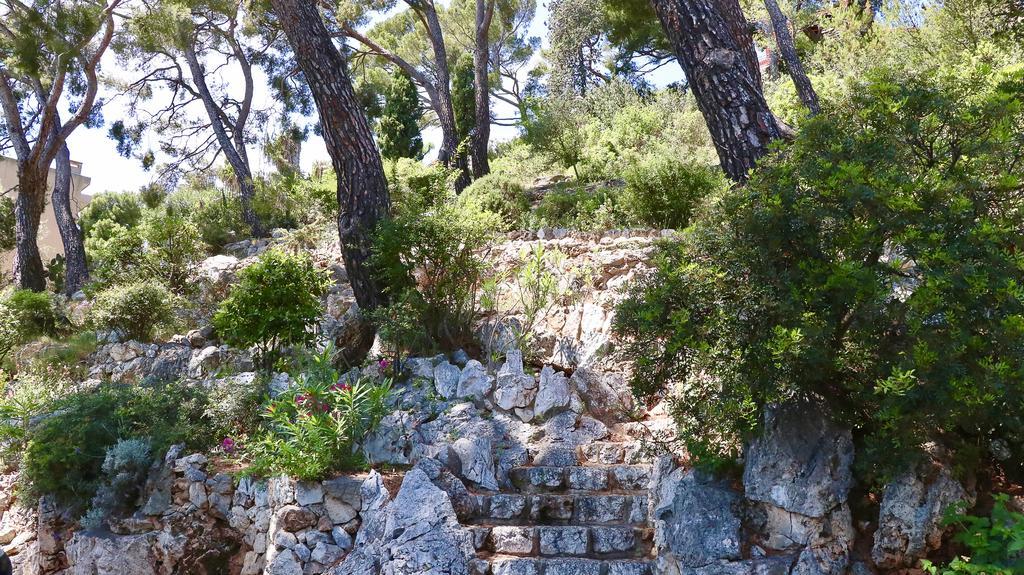 Les Jardins De Villefranche Esterno foto